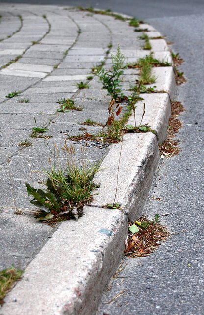 Pavement curb